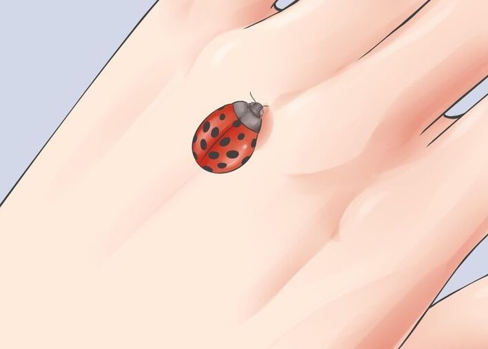 ladybug as a lucky talisman