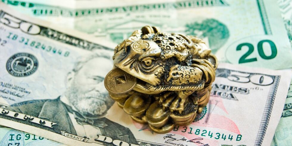 money toad as an amulet of well-being