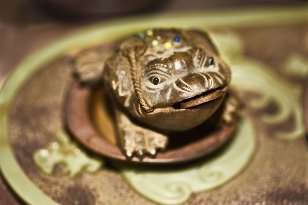 Amulet-toad for good luck and fortune